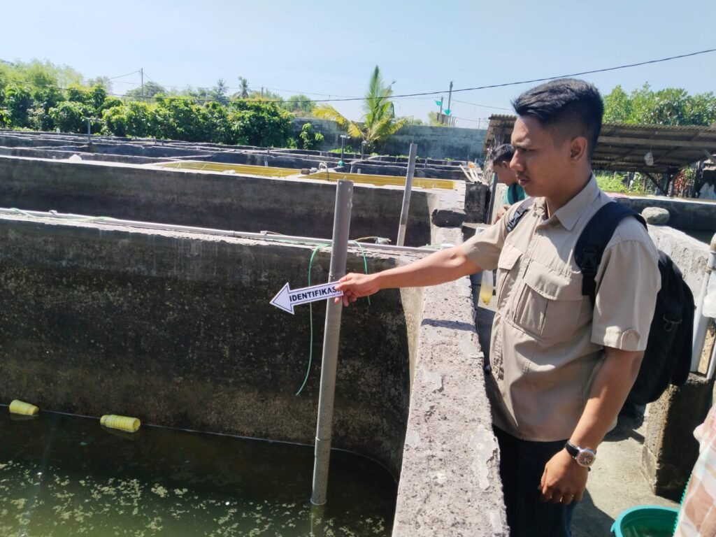 Dua Bocah Ditemukan Tewas Mengambang di Tambak Bandeng, Diduga Terjatuh Saat Mencari Ikan Kecil
